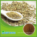 Pure natural common fennel extract powder in stock